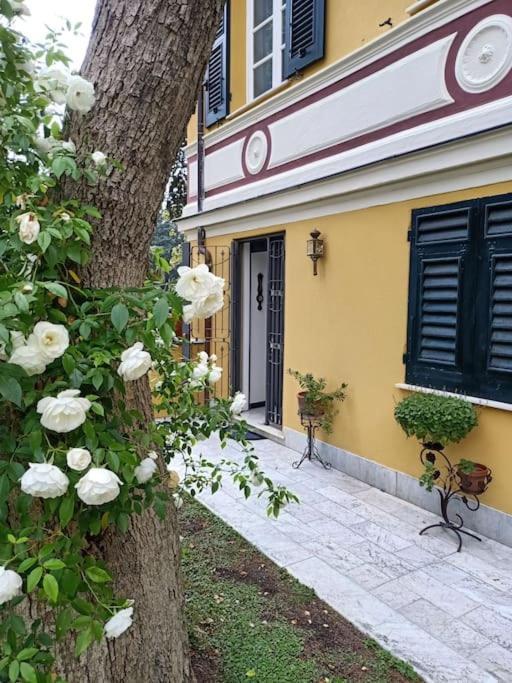 Casetta Jacaranda Genua Exteriör bild